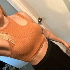 American Eagle Outfitters Ribbed Brown Crop Top
